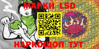 гидропоника Будённовск