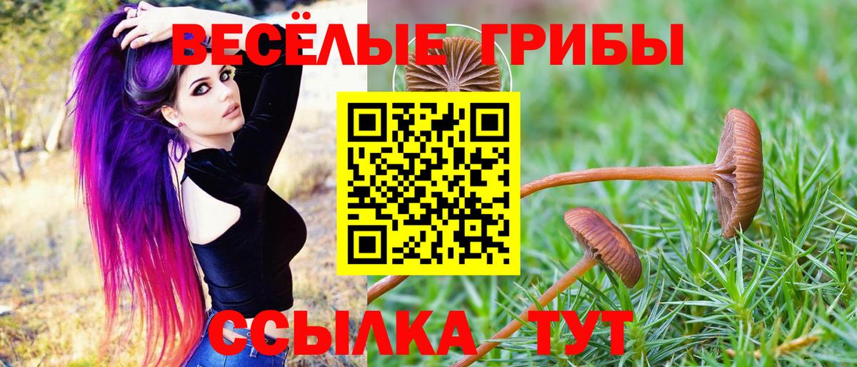 Норильск  Псилоцибиновые грибы MAGIC MUSHROOMS  Галлюциногенные грибы GOLDEN TEACHER  Вход с VPN 